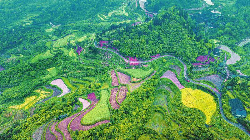 高德娱乐茶博会高端平台(图2)