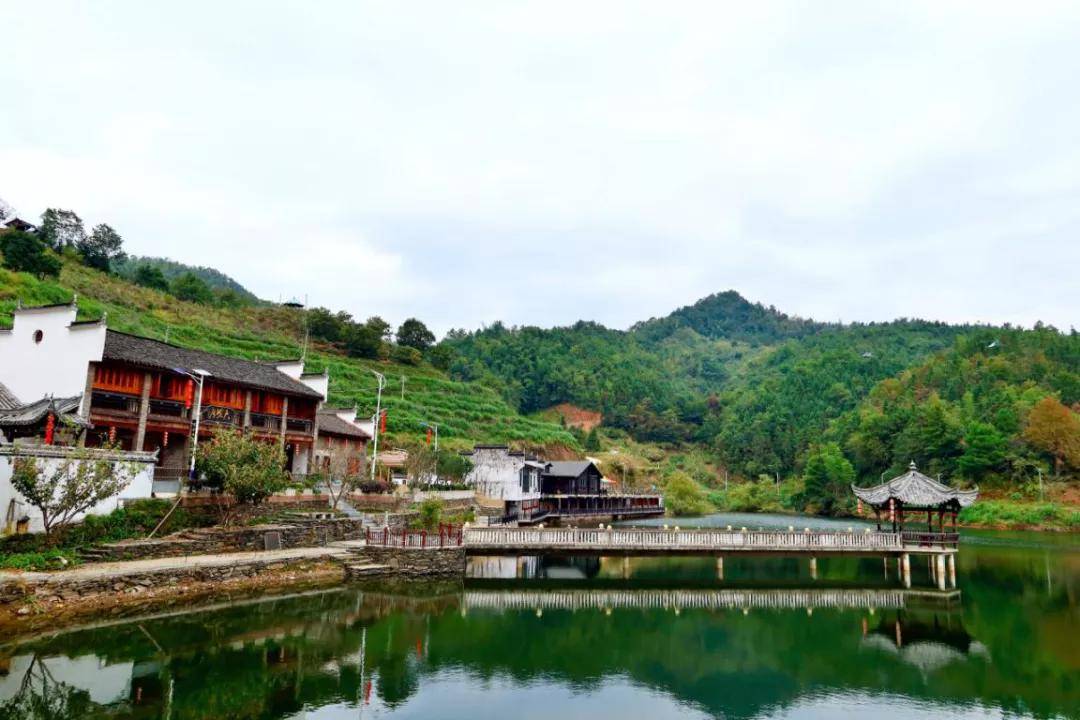 高德娱乐数字科技 茶界黑马横空降生——婺源“黎乾升”老茶号确当代兴盛(图2)