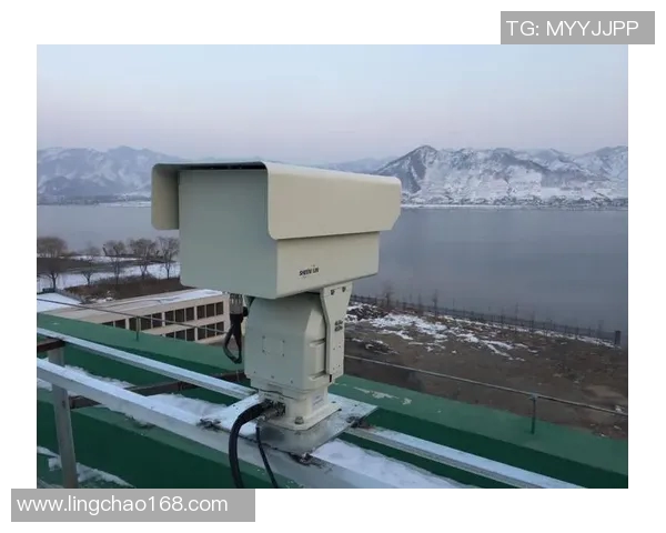 探索CAIP的未来发展与应用前景在数字化时代的创新之路