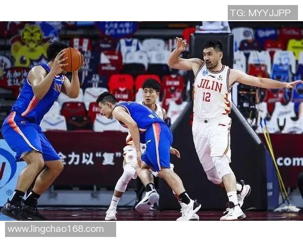 哇哈体育精彩对决辽宁队迎战浙江队激情碰撞引发球迷热烈期待