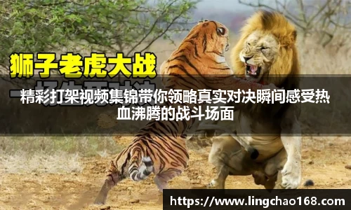 耀世娱乐登录地址